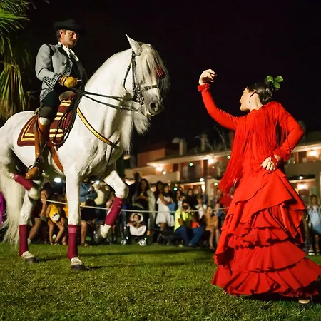 Ilunion Sancti Petri Aparthotel Chiclana de la Frontera